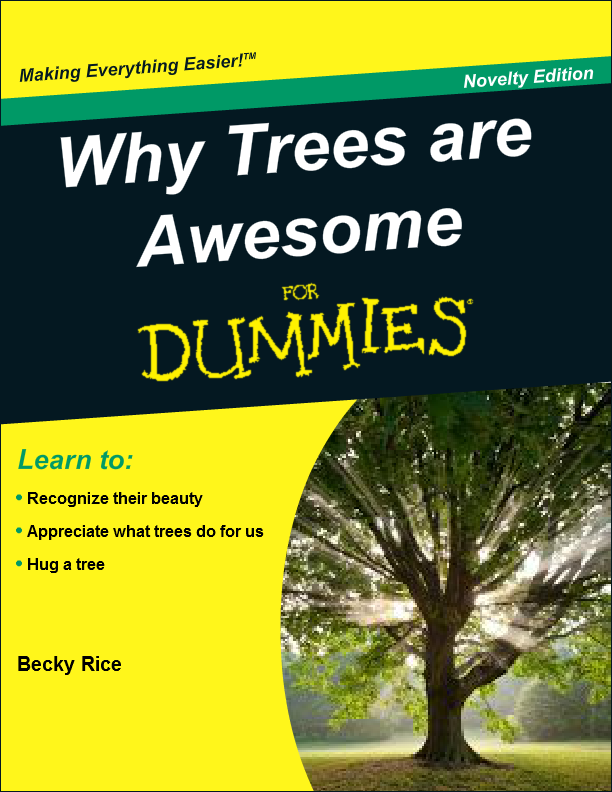 For dummies book cover generator software